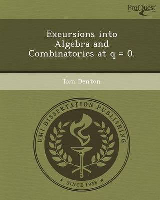 Excursions Into Algebra and Combinatorics at Q = 0