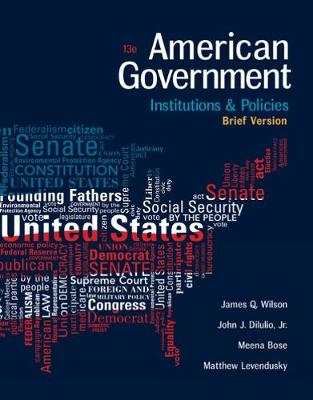American Government