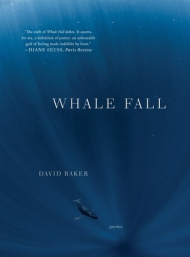 Whale Fall