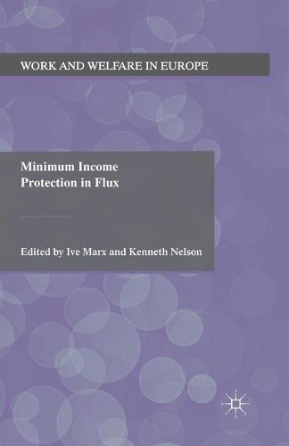 Minimum Income Protection in Flux