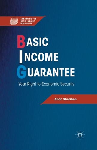 Basic Income Guarantee