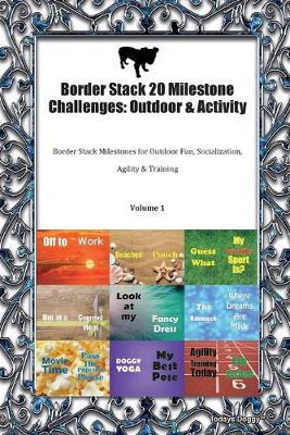 Border Stack 20 Milestone Challenges
