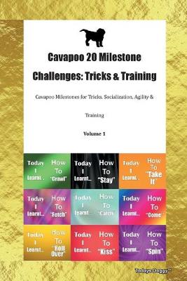 Cavapoo 20 Milestone Challenges