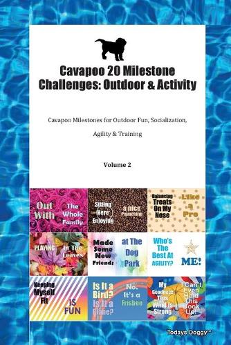 Cavapoo 20 Milestone Challenges