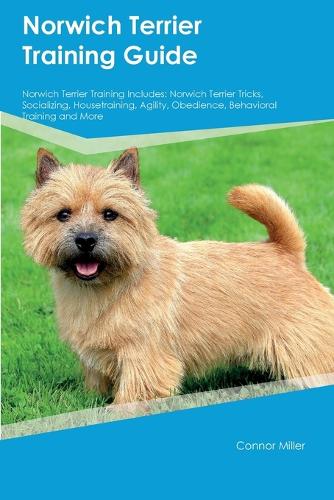 Norwich sales terrier agility