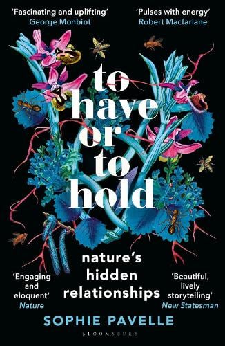 To Have or To Hold by Sophie Pavelle