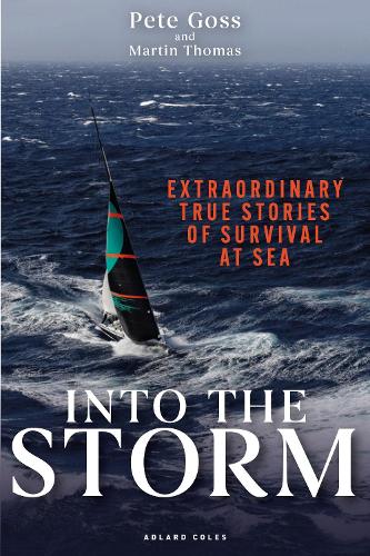 Into the Storm
