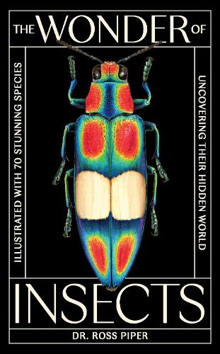 The Wonder of Insects: Uncovering their Hidden World