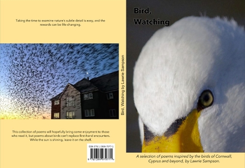 Bird, Watching