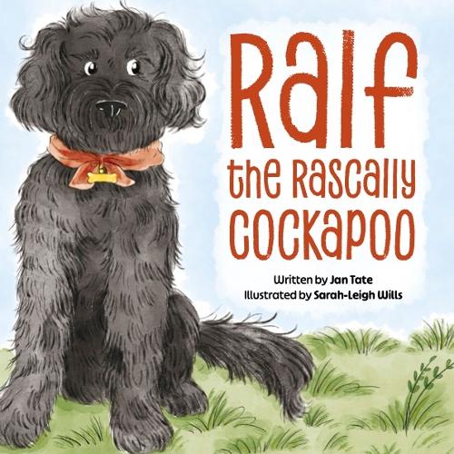 Ralf the Rascally Cockapoo