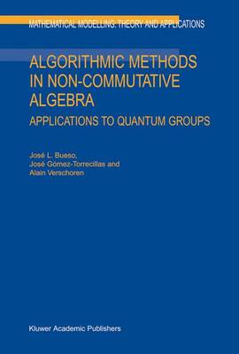 Algorithmic Methods in Non-Commutative Algebra