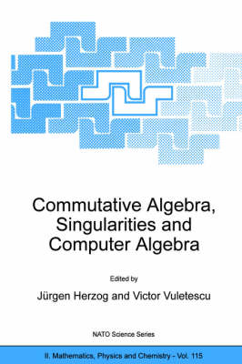 Commutative Algebra, Singularities and Computer Algebra