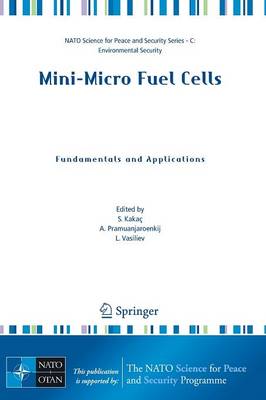 Mini-Micro Fuel Cells