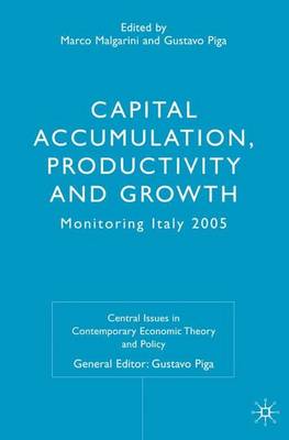 Capital Accumulation, Productivity and Growth
