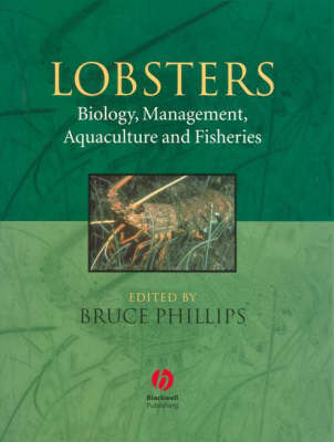 Lobsters