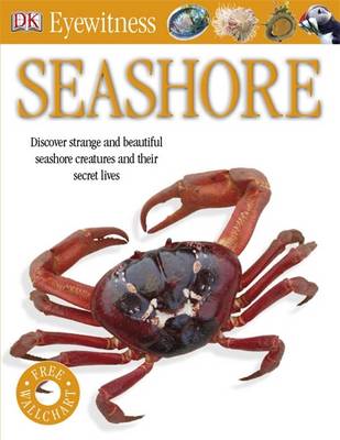 Seashore