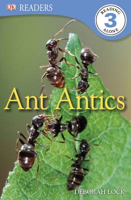 Ant Antics