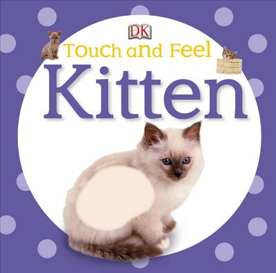 Kitten