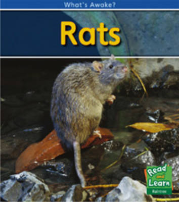Rats