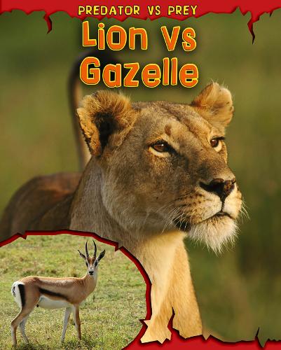 Lion vs Gazelle