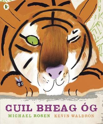 Cuil Bheag Óg (Tiny Little Fly)