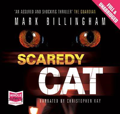 Scaredy Cat