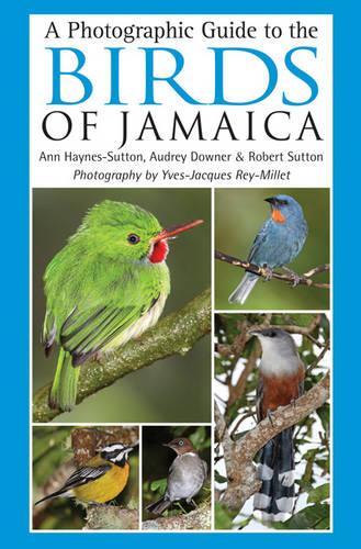 A Photographic Guide to the Birds of Jamaica
