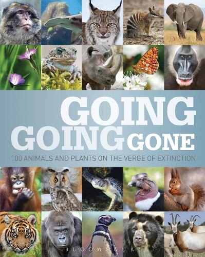 Going, Going, Gone