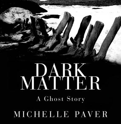 Dark Matter