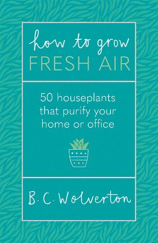 How To Grow Fresh Air