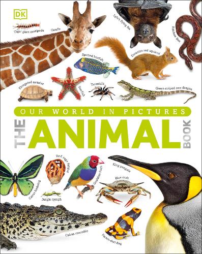 Our World in Pictures The Animal Book