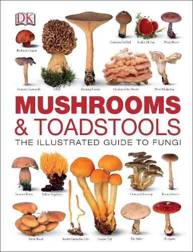 Mushrooms & Toadstools