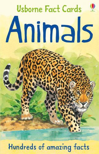 Fact Cards Animals