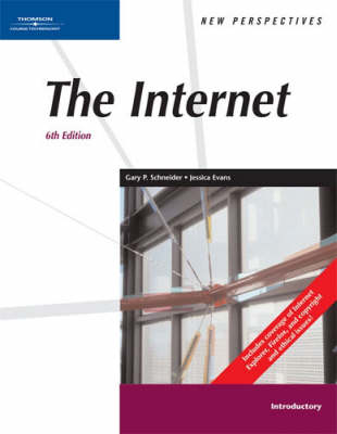 New Perspectives on the Internet