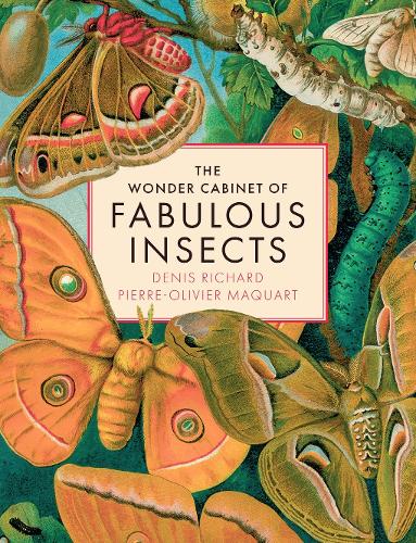 The Wonder Cabinet of Fabulous Insects by Denis Richard