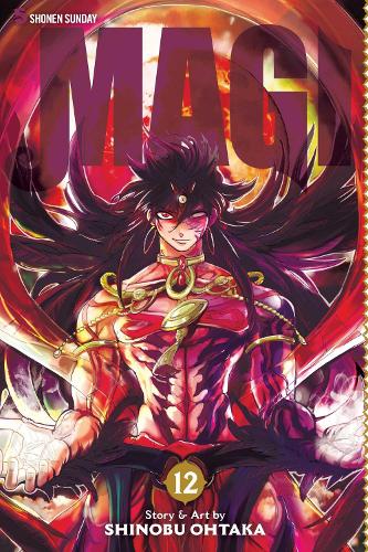 Magi: The Labyrinth of Magic, Vol. 12 Volume 12