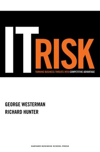 IT Risk