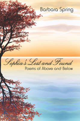 Sophia's Lost and Found