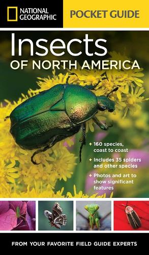 National Geographic Pocket Guide to Insects of North America