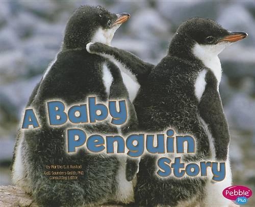 Baby Animals Baby Penguin Story