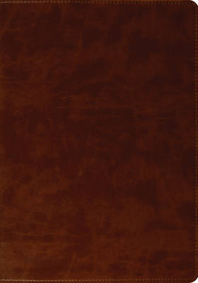 ESV Large Print Bible