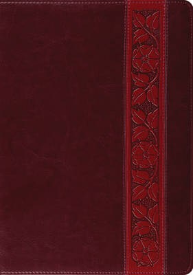 ESV Study Bible