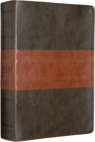 Study Bible