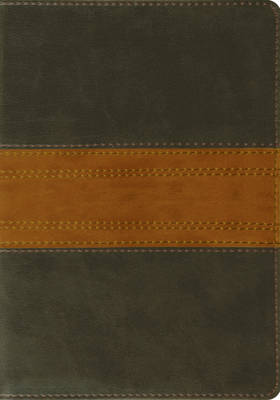 ESV Large Print Bible