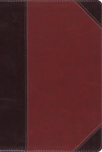 ESV Study Bible, Personal Size