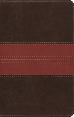ESV Large Print Compact Bible