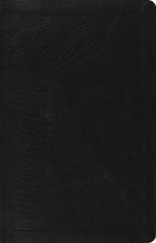 ESV Large Print Thinline Reference Bible