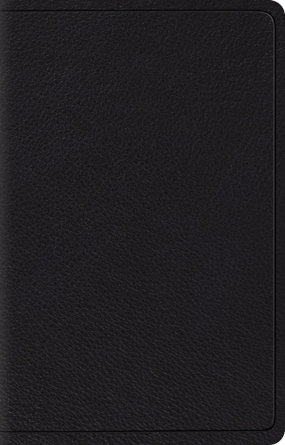 ESV Wide Margin Reference Bible, Red Letter