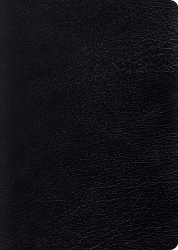 ESV Study Bible, Large Print