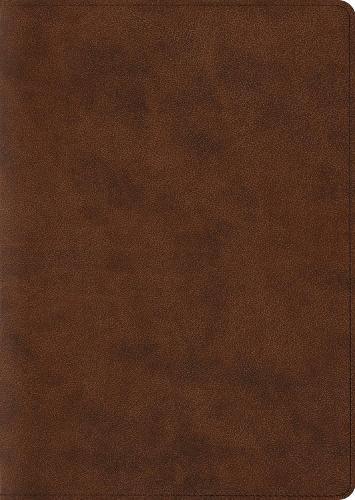 ESV Archaeology Study Bible